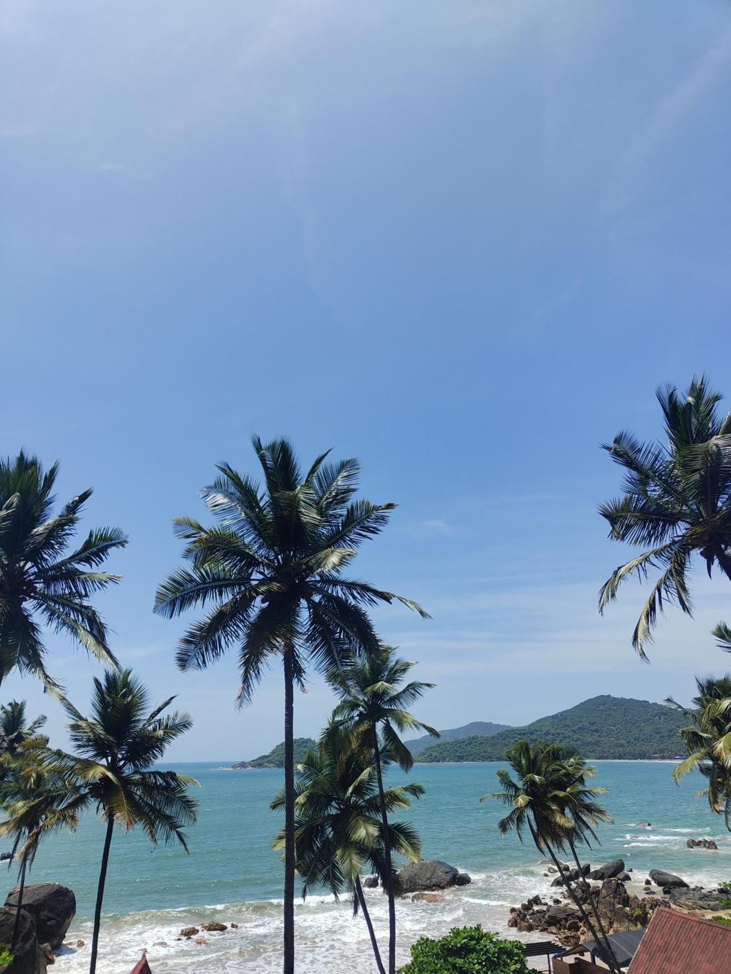 ホテル Hilltop Seaview Palolem Goa エクステリア 写真