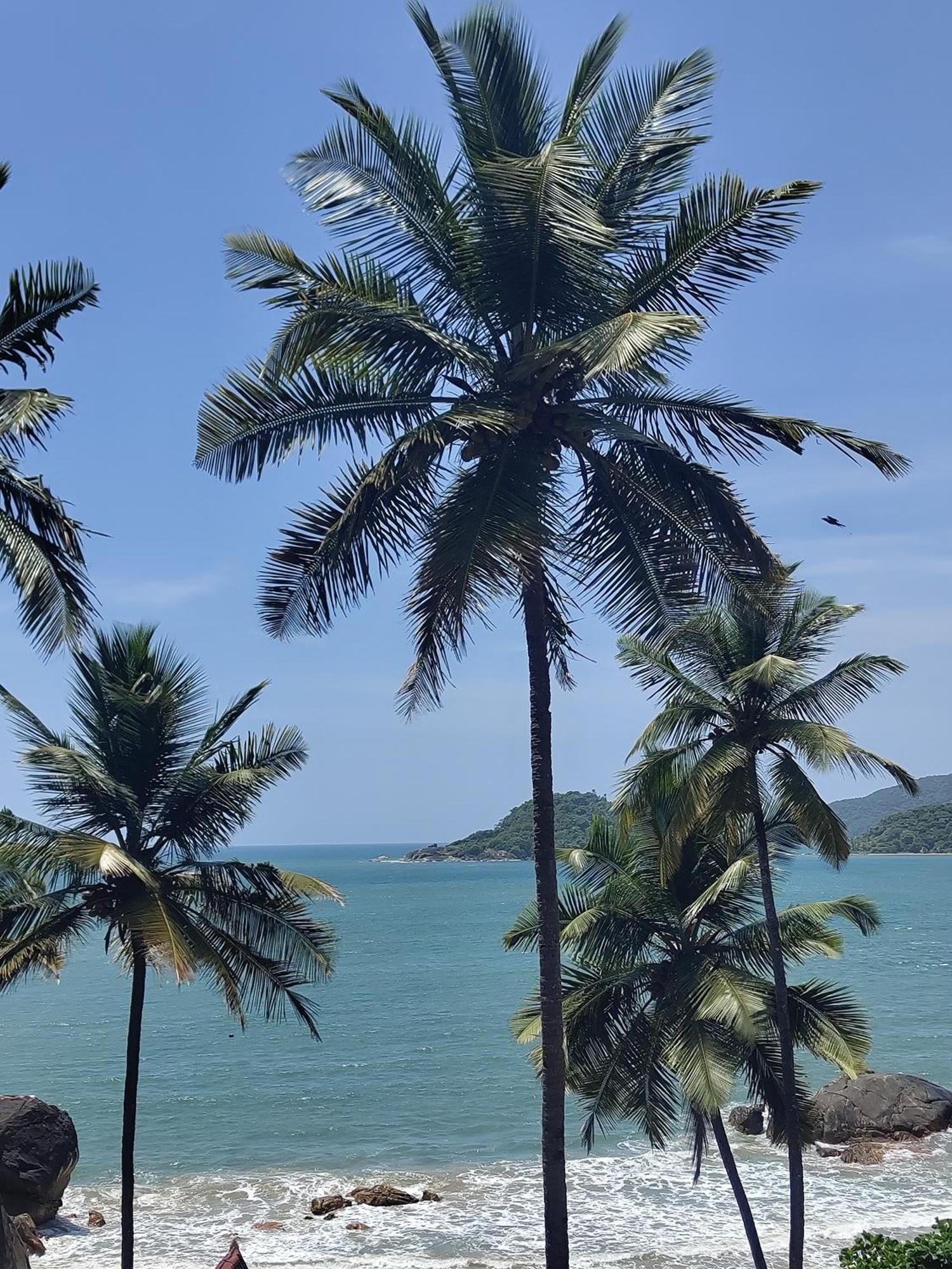 ホテル Hilltop Seaview Palolem Goa エクステリア 写真