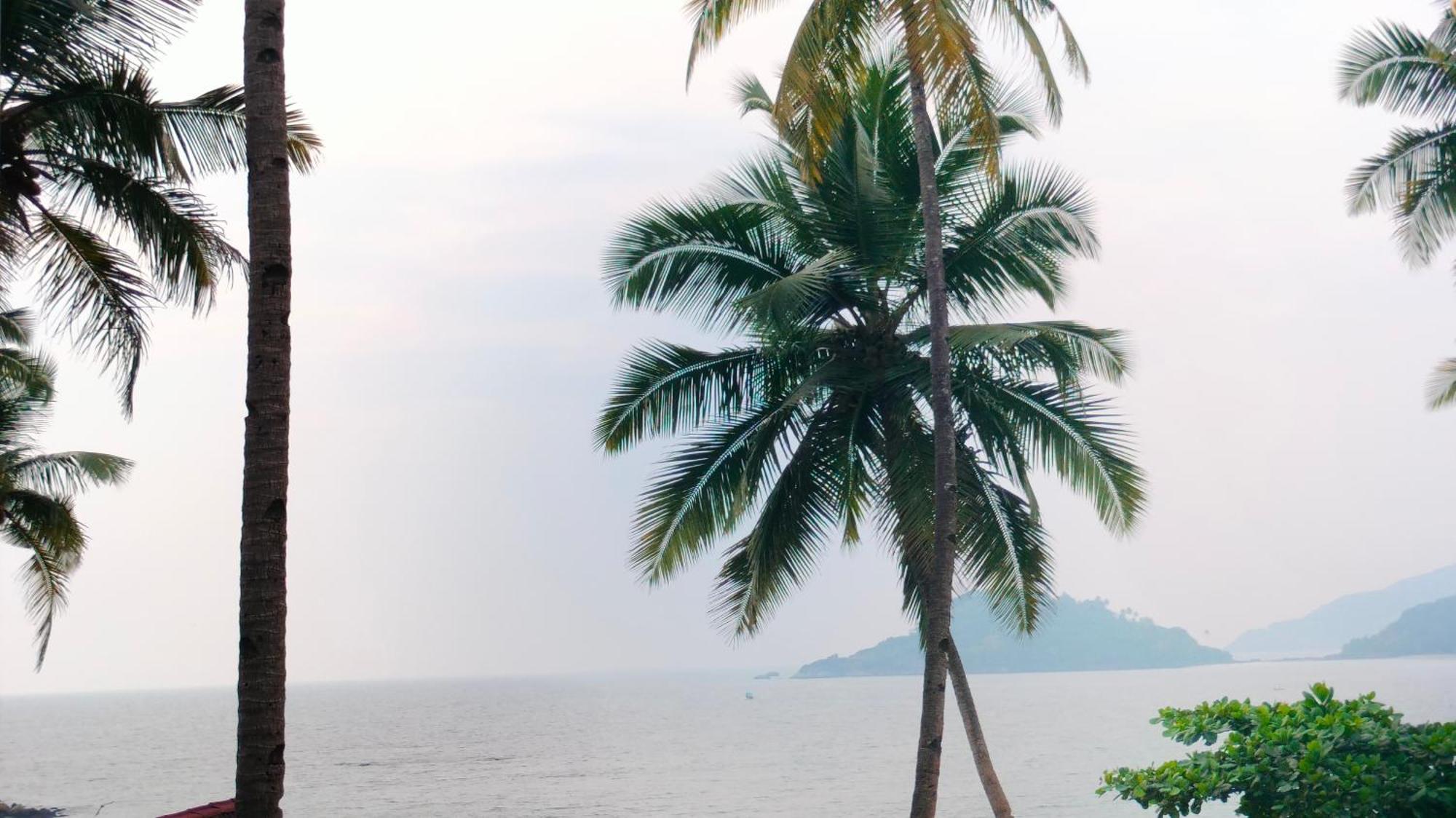 ホテル Hilltop Seaview Palolem Goa 部屋 写真