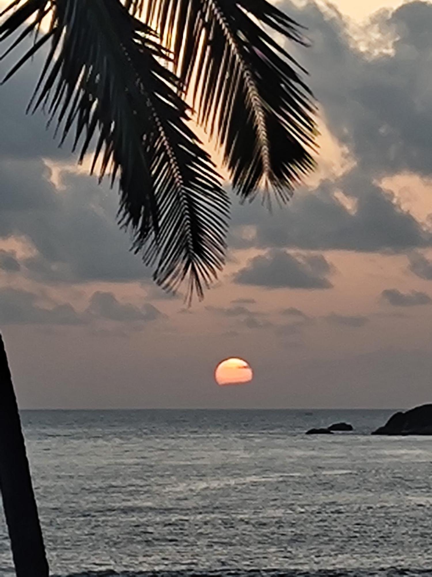 ホテル Hilltop Seaview Palolem Goa エクステリア 写真