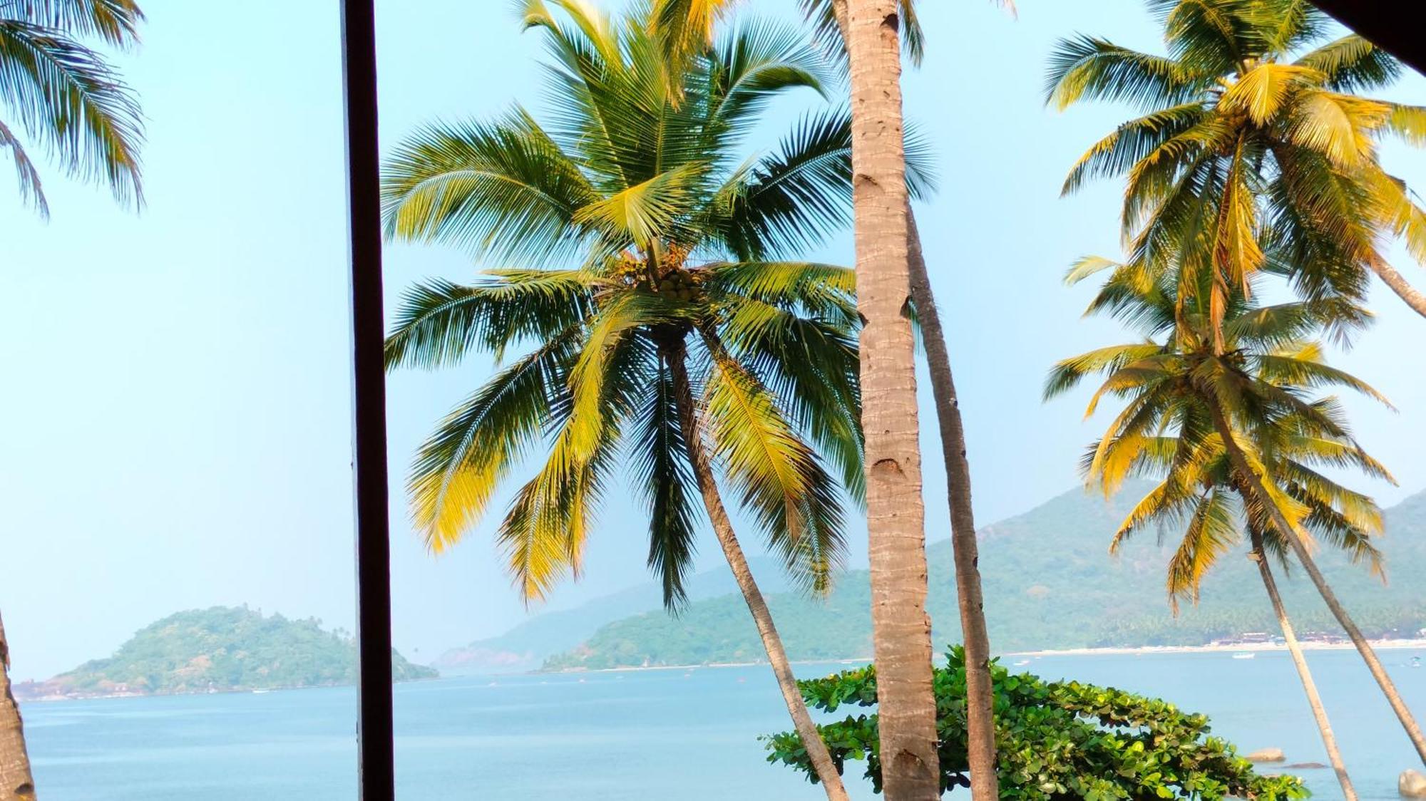 ホテル Hilltop Seaview Palolem Goa 部屋 写真
